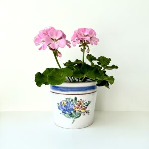 Enna keramik potteplante skjuler 🪴