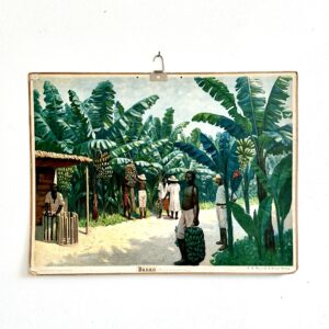 Gammel skoleplanche 🌴