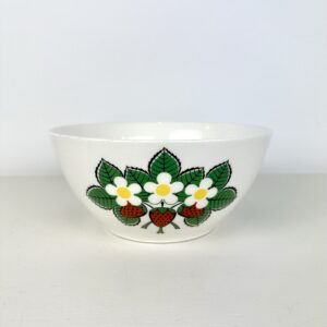 Retro skål med jordbær 🍓