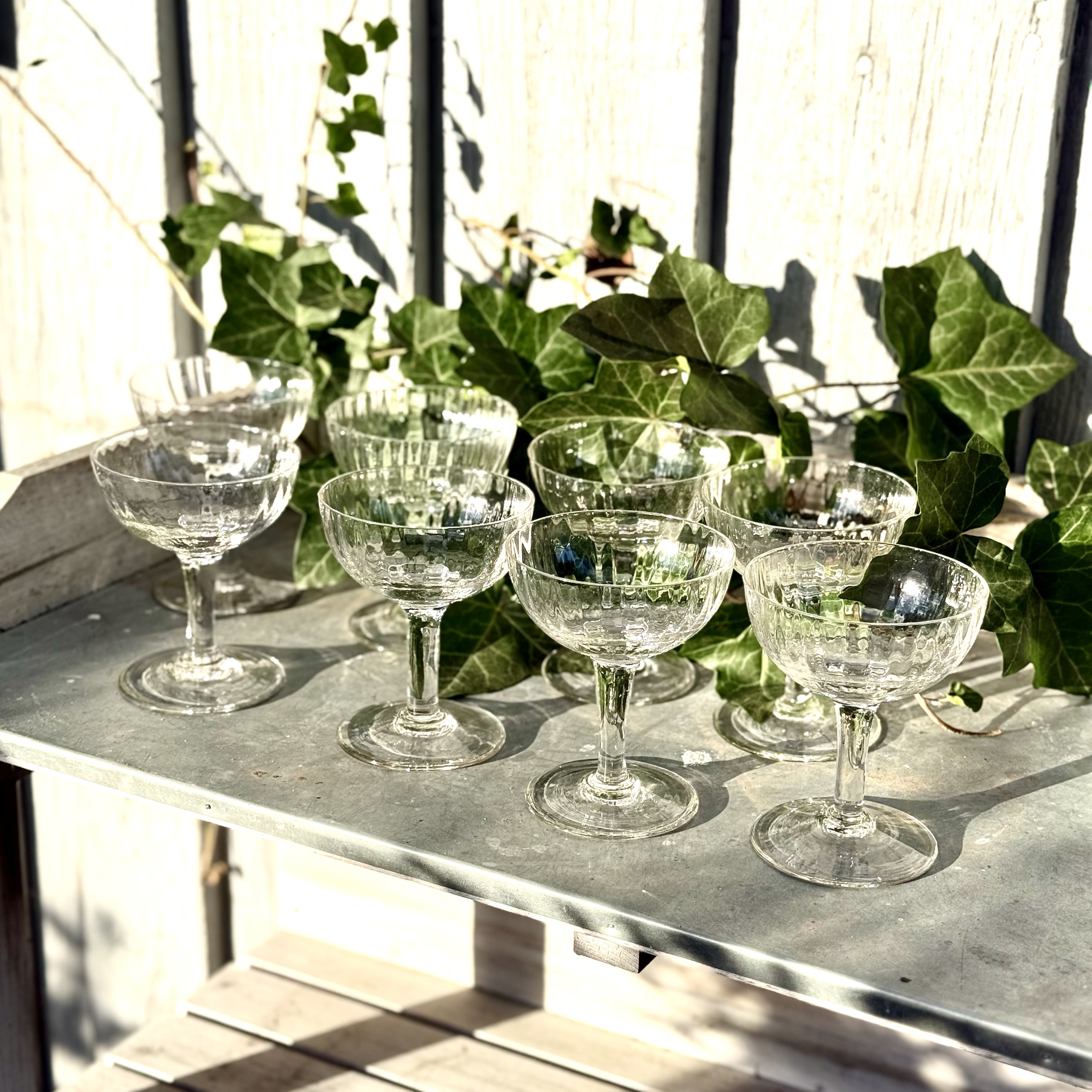 Gamle franske champagneglas 🇫🇷