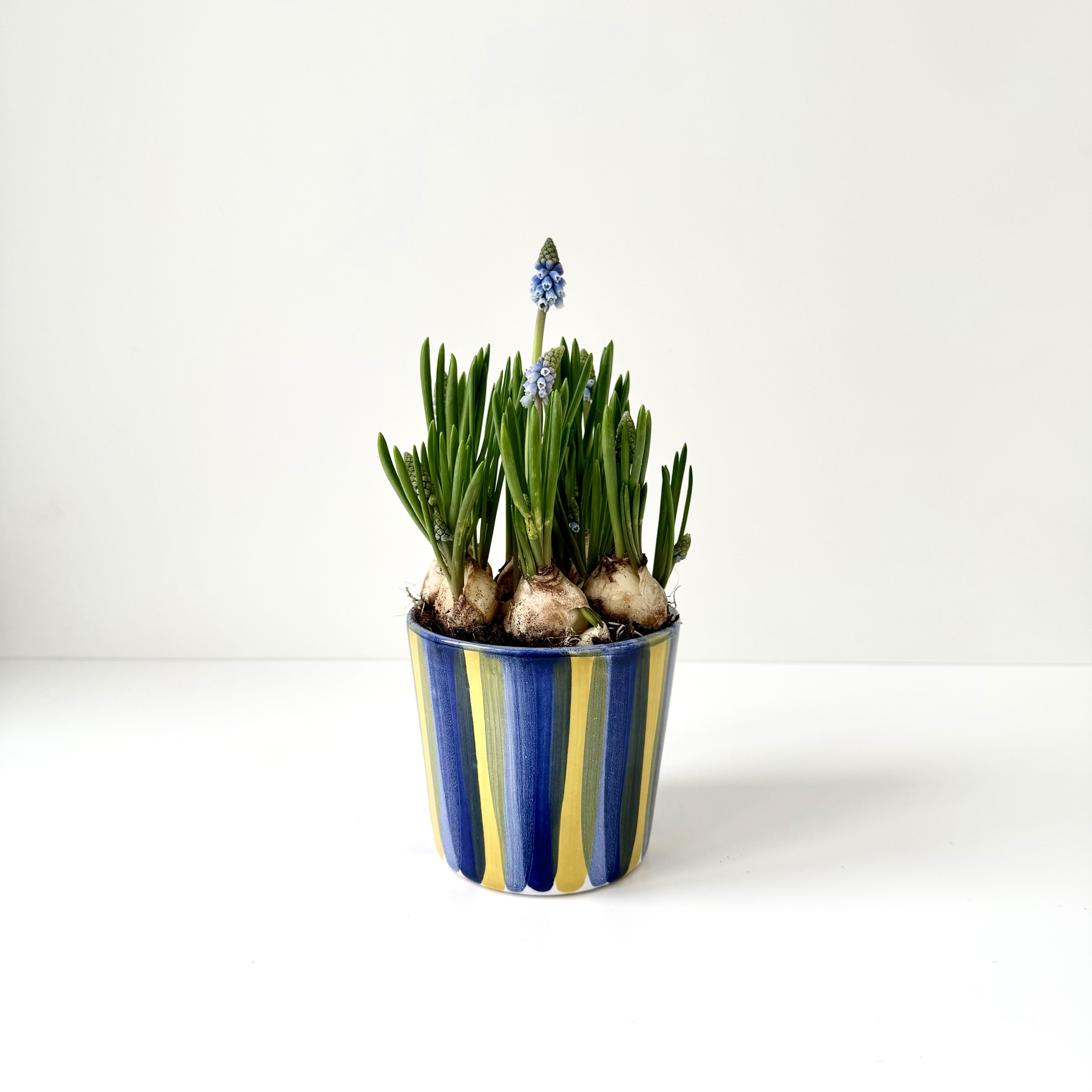 Bangholm urtepotteskjuler🌿